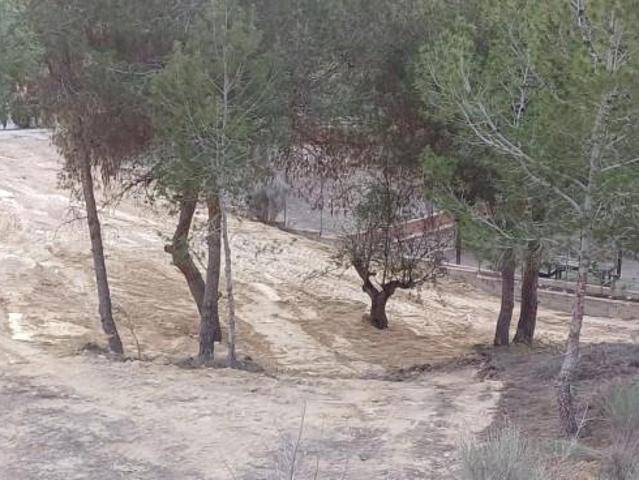 Terreno en venta en Molina de Segura, Altorreal