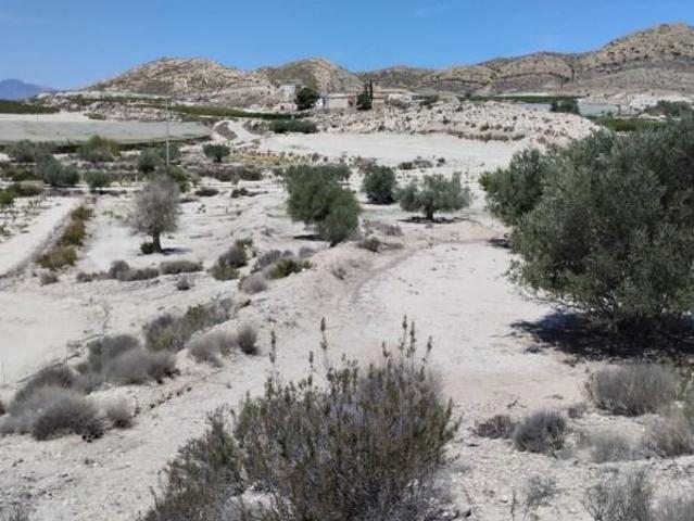 Terreno en venta en Molina de Segura, El Fenazar