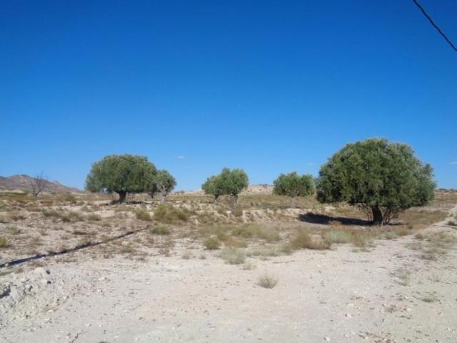 Terreno en venta en Molina de Segura, El Fenazar