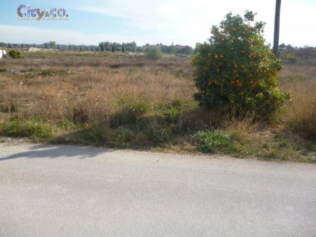 Terreno en venta en Molina de Segura, El Llano de Molina