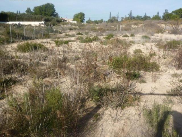 Terreno en venta en Molina de Segura, El Llano de Molina