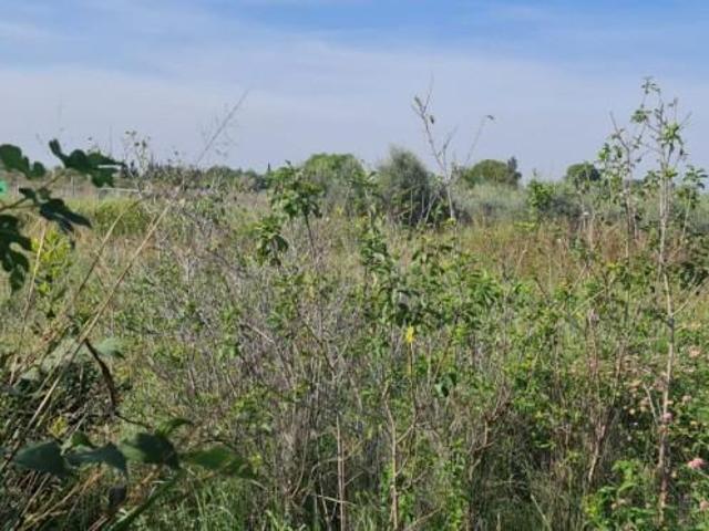 Terreno en venta en Molina de Segura, El Paraje