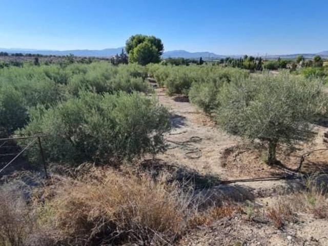 Terreno en venta en Molina de Segura, Romeral