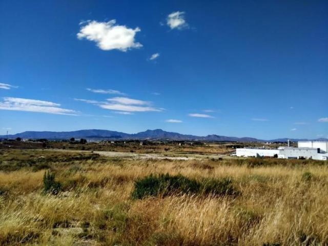 Terreno en venta en Molina de Segura, Molina de Segura