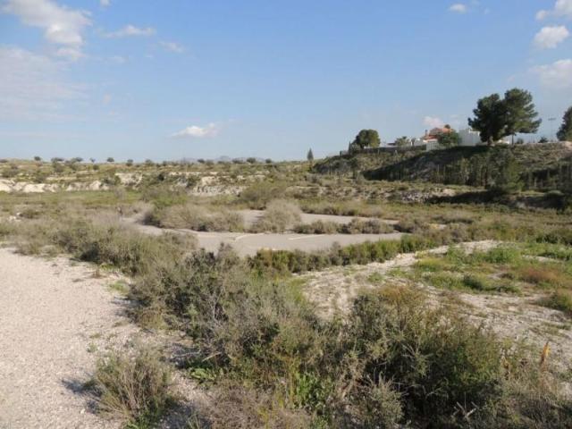 Terreno en venta en Molina de Segura, Molina de segura