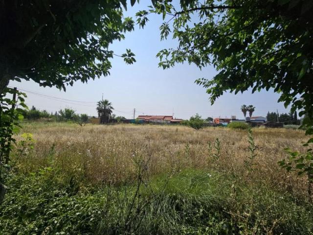 Terreno en venta en Molina de Segura, Pedanias La Huerta de abajo