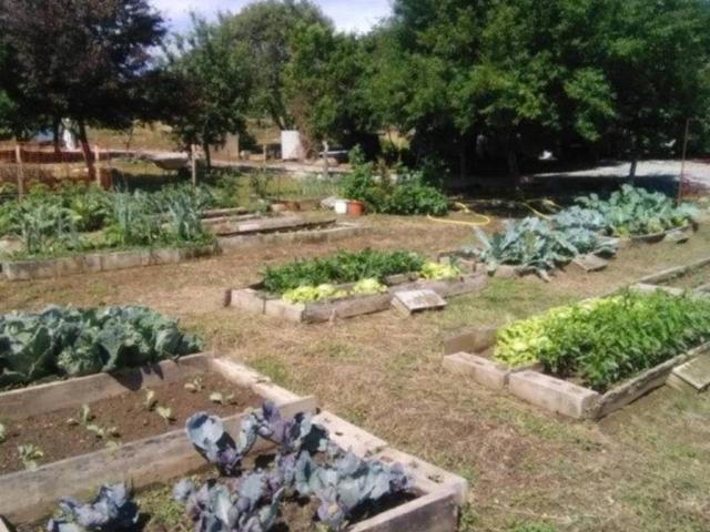 Terreno en Venta en Molinaseca