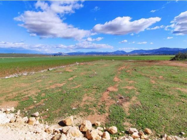 Terreno en Venta en Mollina