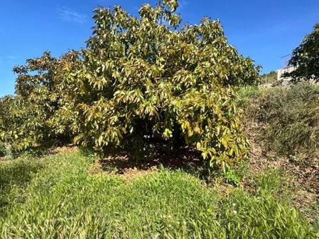 Terreno en Venta en Molvízar