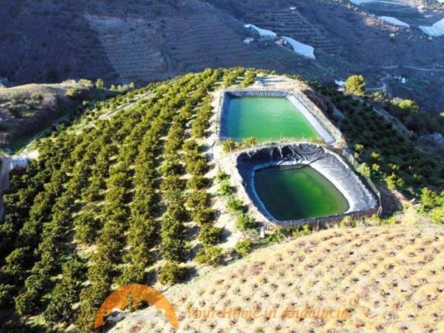 Terreno en Venta en Molvízar