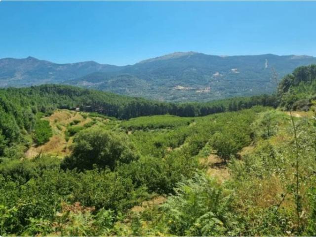 Terreno en Venta en Mombeltrán
