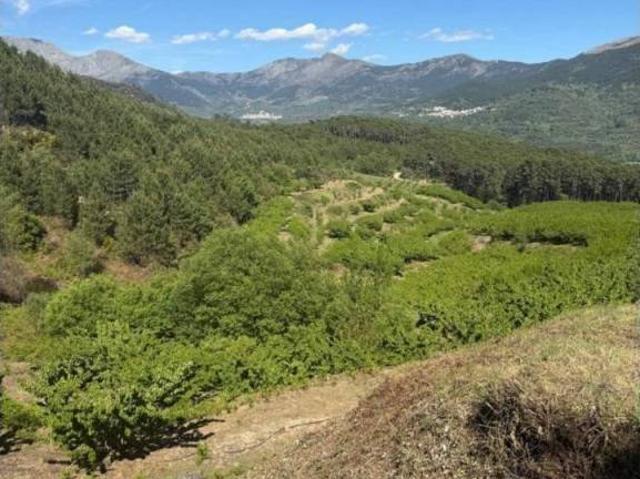 Terreno en Venta en Mombeltrán