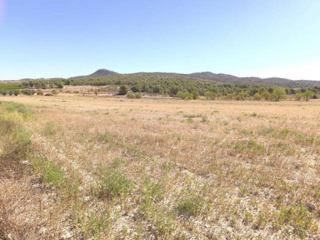 Terreno en Venta en Monóvar Monòver