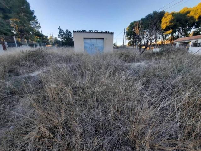 Terreno en Venta en Monóvar Monòver