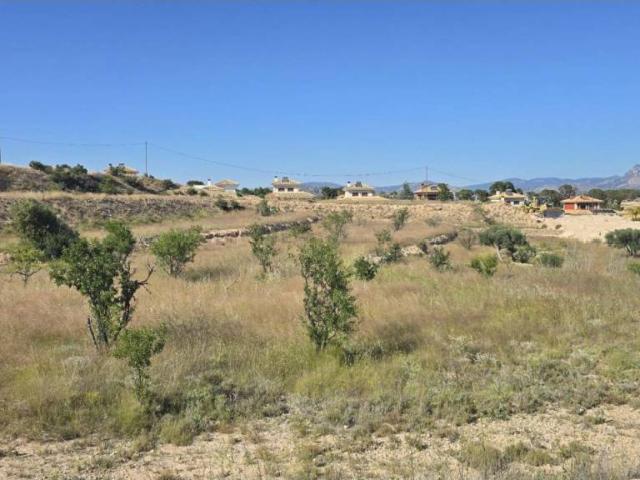 Terreno en Venta en Monóvar Monòver