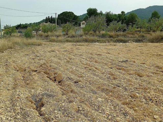 Terreno en Venta en Monóvar Monòver