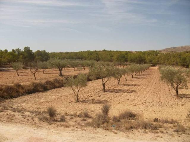 Terreno en Venta en Monóvar Monòver