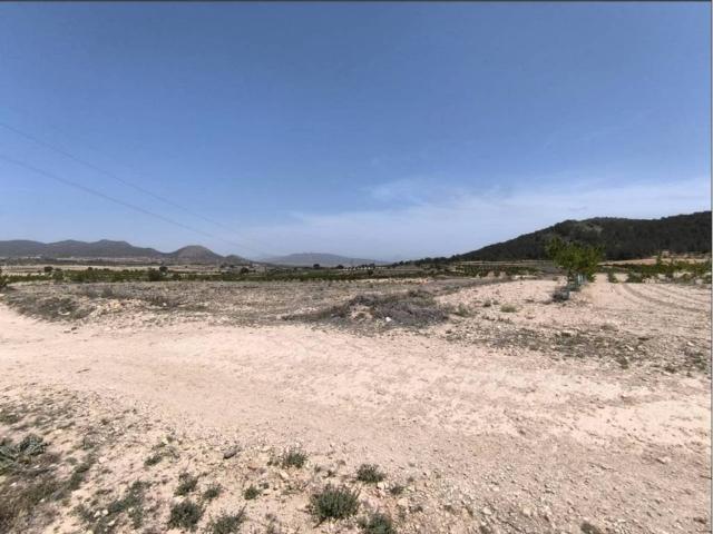 Terreno en Venta en Monóvar Monòver