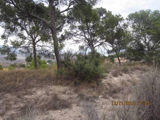 Terreno en Venta en Monóvar Monòver