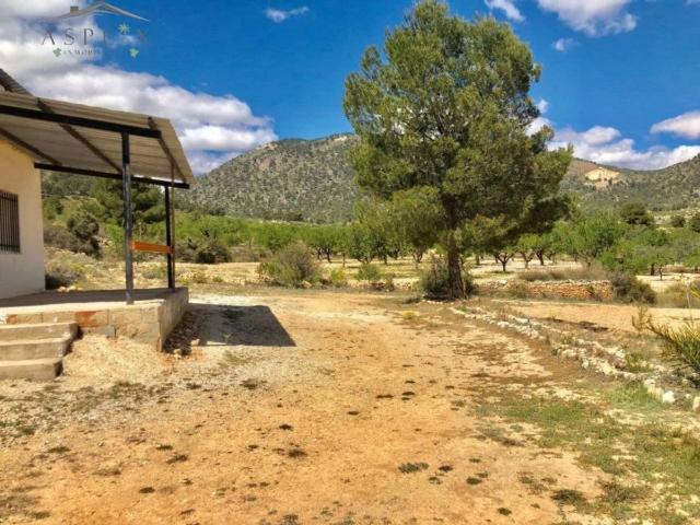 Terreno en Venta en Monóvar Monòver