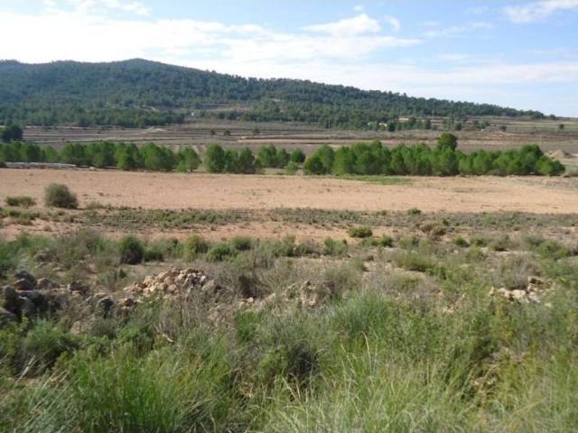 Terreno en Venta en Monóvar Monòver
