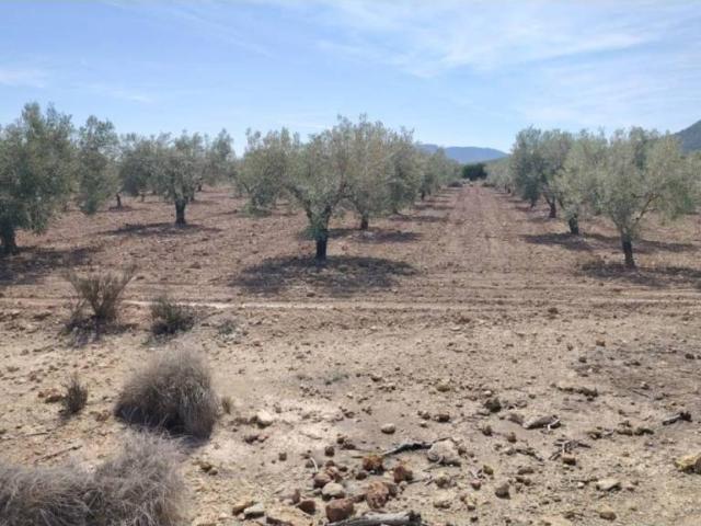 Terreno en Venta en Monóvar Monòver
