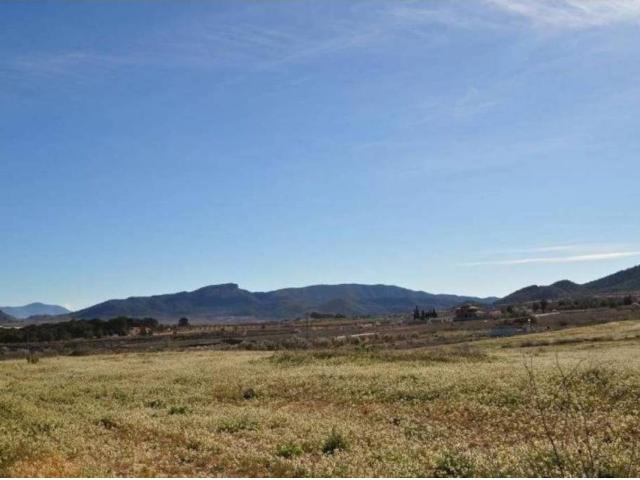 Terreno en Venta en Monóvar Monòver