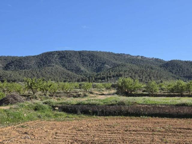 Terreno en Venta en Monóvar Monòver