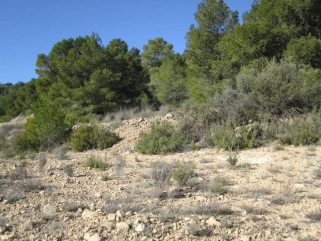Terreno en Venta en Monóvar Monòver