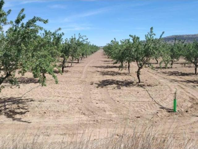 Terreno en Venta en Monóvar Monòver