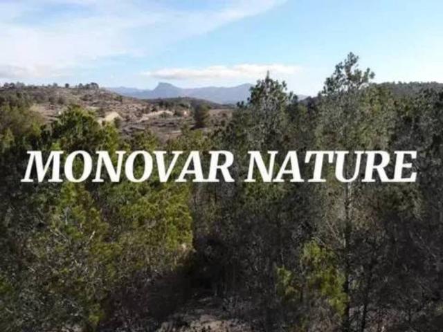 Terreno en Venta en Monóvar Monòver