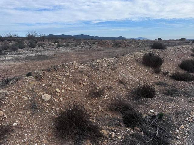 Terreno en Venta en Monóvar Monòver