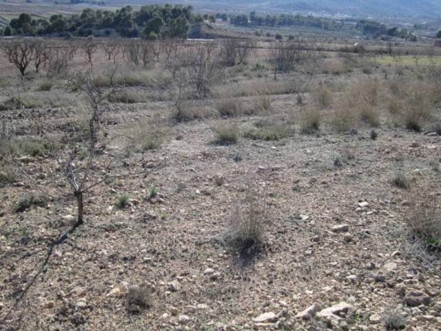 Terreno en Venta en Monóvar Monòver