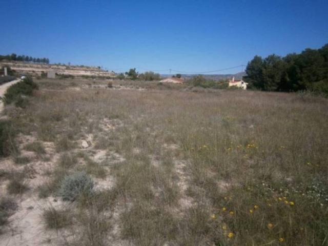 Terreno en Venta en Monóvar Monòver