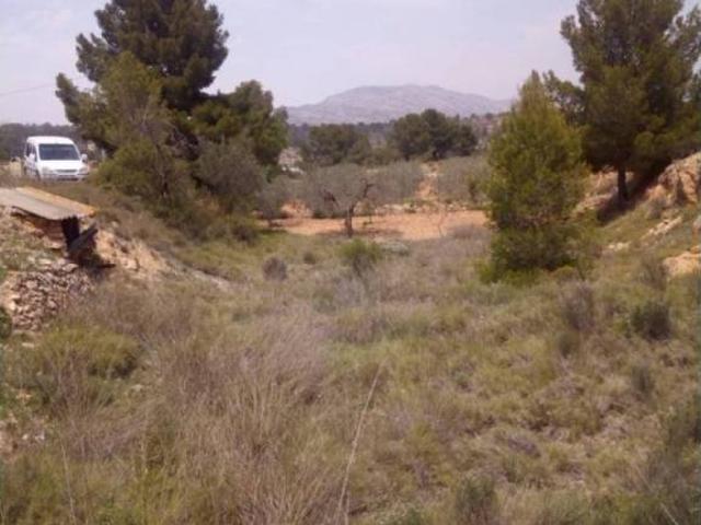 Terreno en Venta en Monóvar Monòver