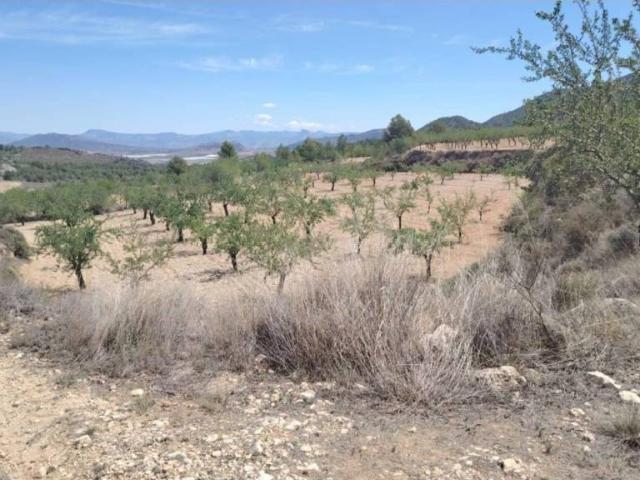 Terreno en Venta en Monóvar Monòver