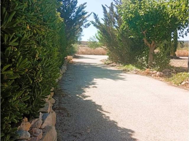 Terreno en Venta en Monóvar Monòver