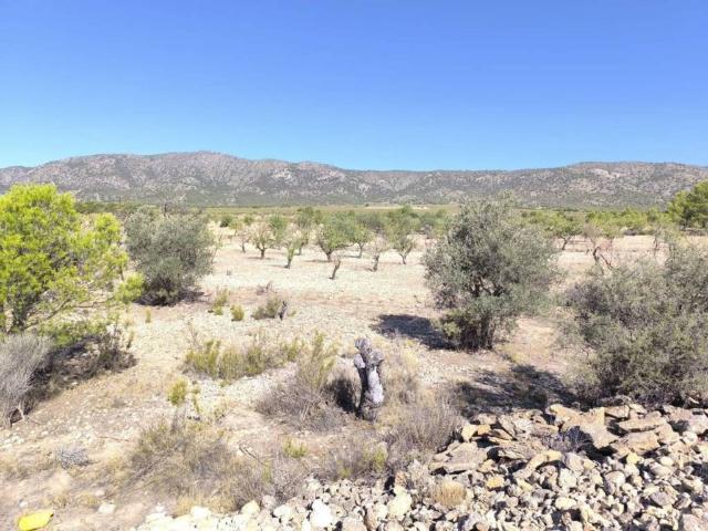 Terreno en Venta en Monóvar Monòver