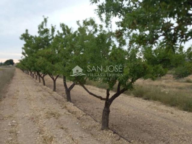 Terreno en Venta en Monóvar Monòver