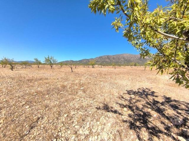 Terreno en Venta en Monóvar Monòver