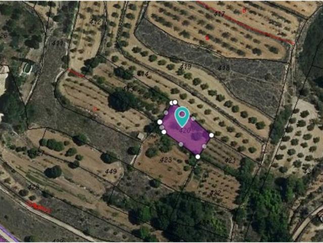 Terreno en Venta en Monóvar Monòver