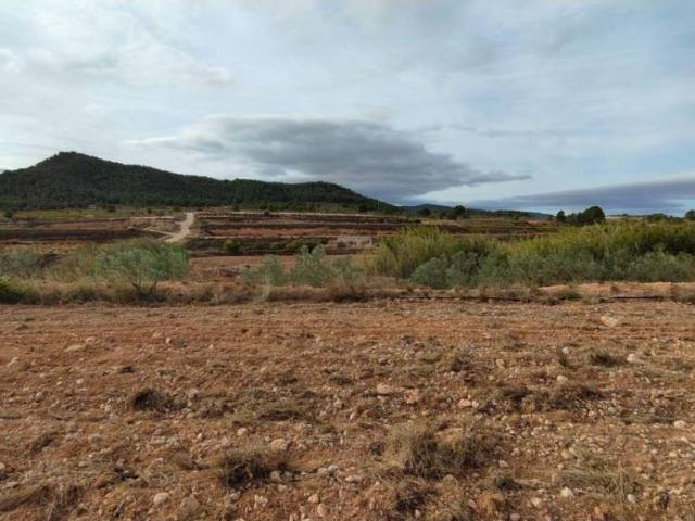 Terreno en Venta en Monóvar Monòver
