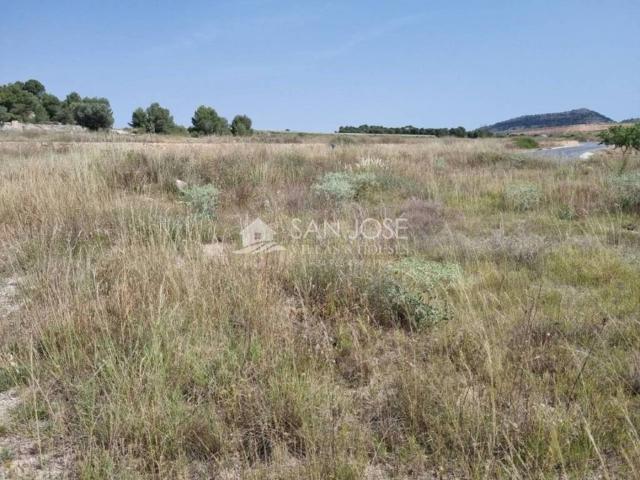 Terreno en Venta en Monóvar Monòver