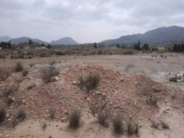 Terreno en Venta en Monóvar Monòver