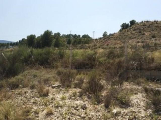 Terreno en venta en Monovar Monover, Monóvar Zona Paraje La Pedrera