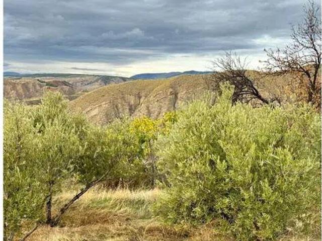 Terreno en Venta en Monachil