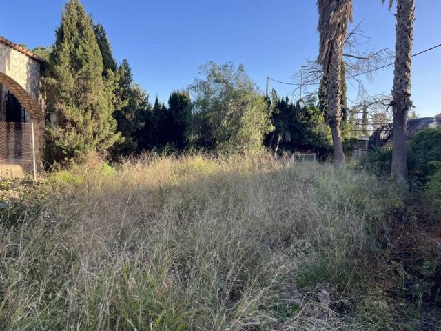 Terreno en Venta en Moncada