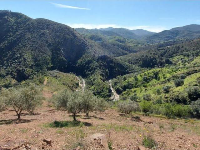 Terreno en Venta en Monda