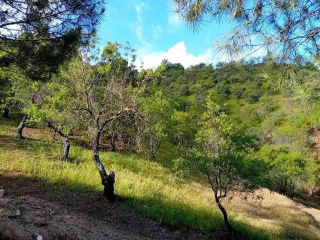 Terreno en Venta en Monda