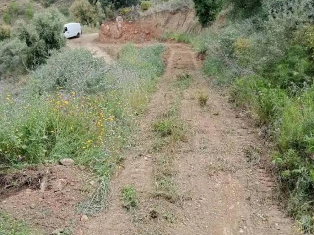 Terreno en Venta en Monda